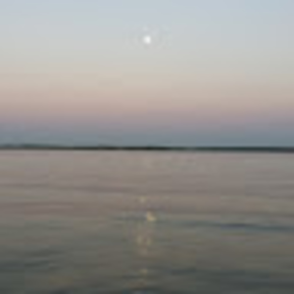 Meet your Posher, Carmen